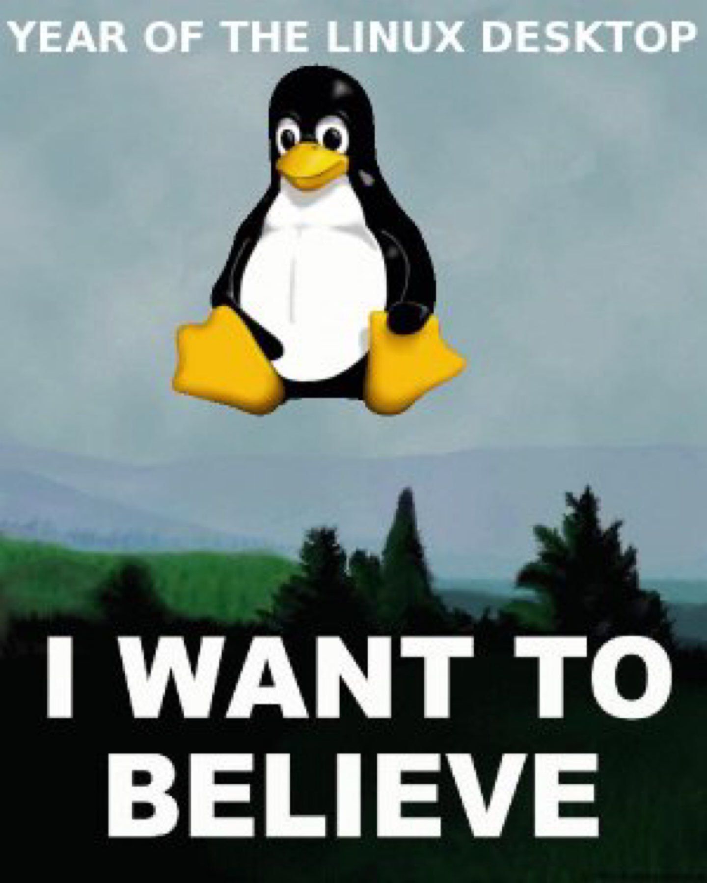 A picture of Tux, the Linux mascot penguin flying over a forest with the words "year of Linux on the desktop. I want to believe." as a parody of a poster associated with the 1990s TV show The X-Files.