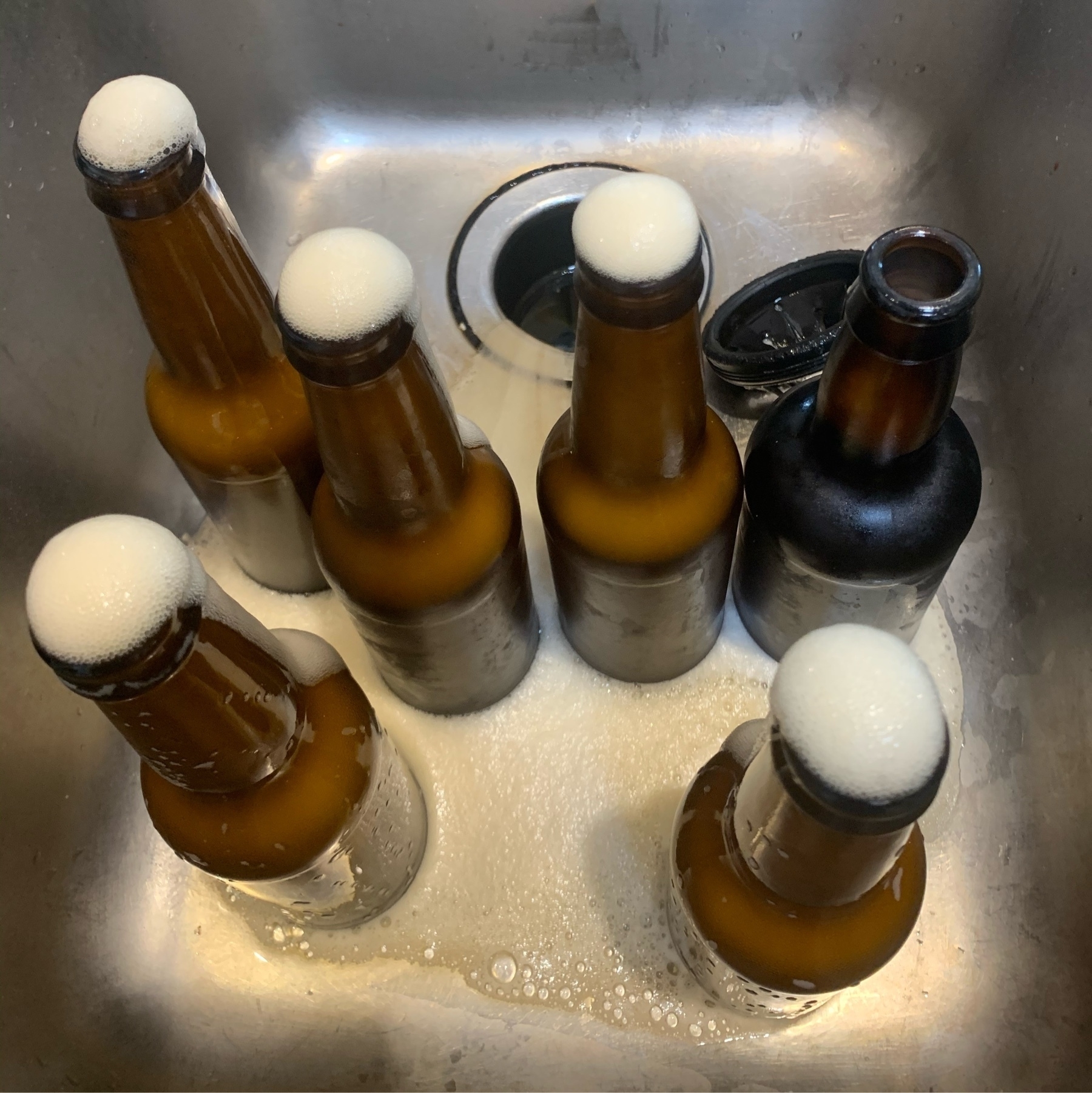 Bottles of my beer erupting in foam as Inpour them down the sink. 