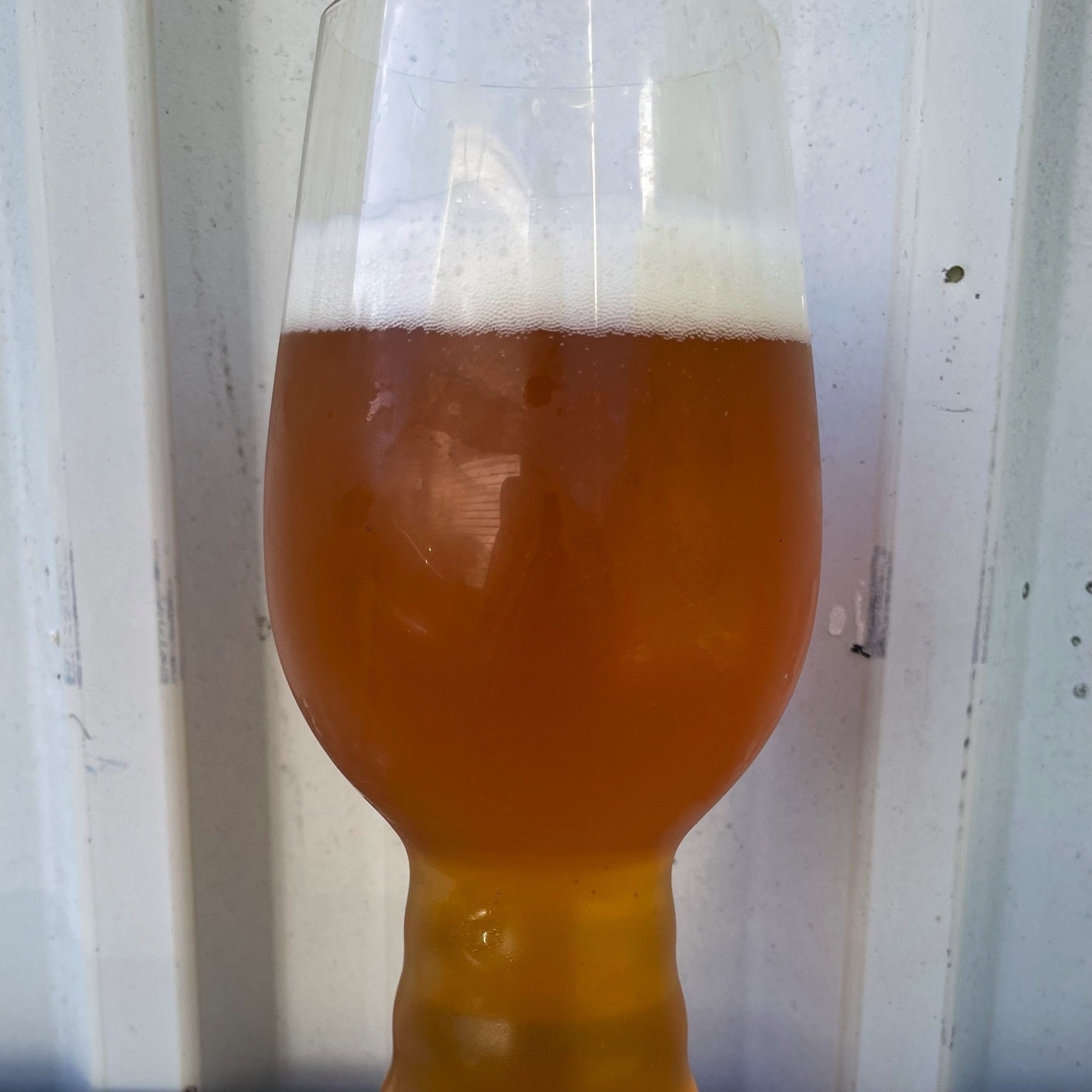 A picture of a dark straw-yellow beer in a tulip shaped beer glass.