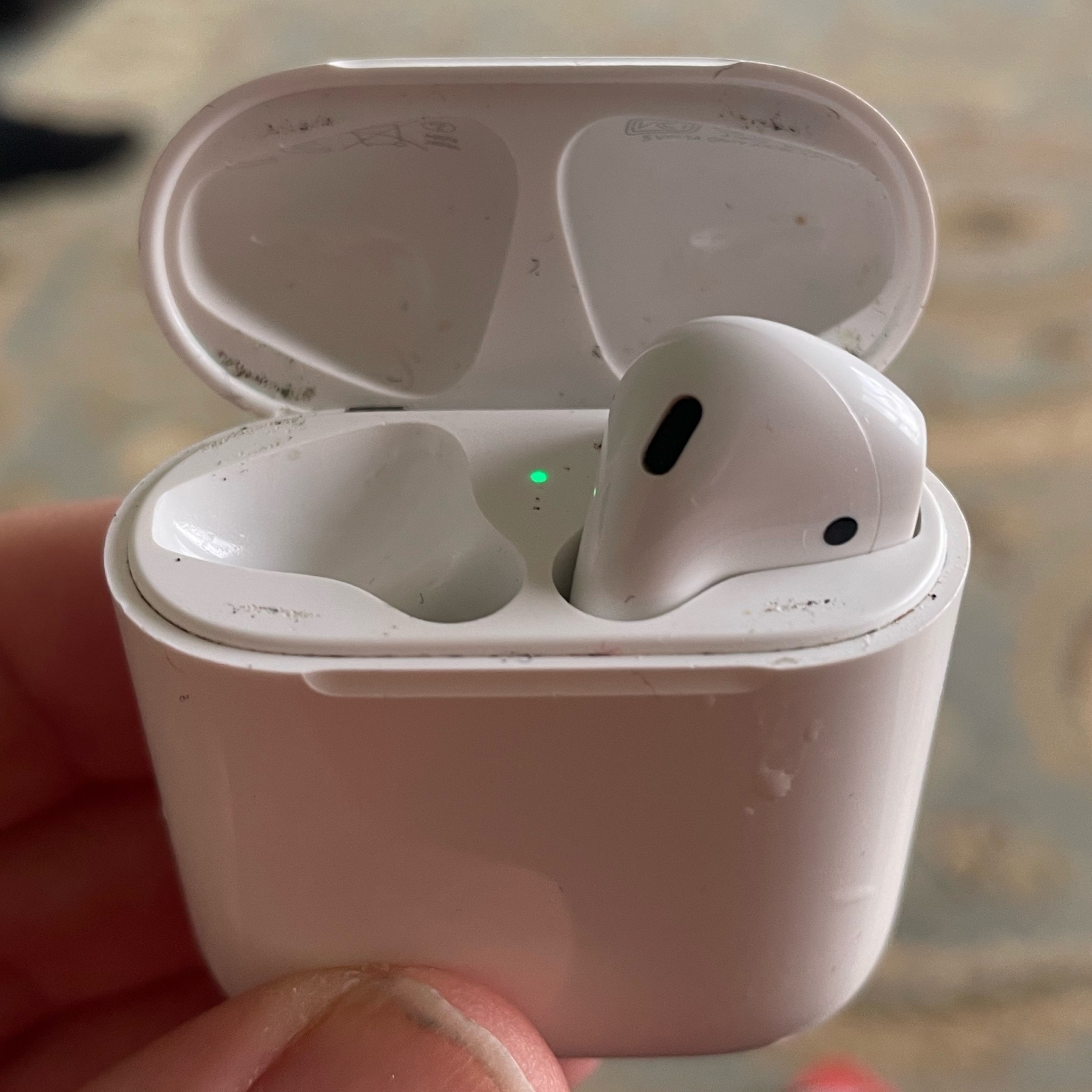 My AirPods, missing Lefty, which fell out along a 50 m stretch of service alley. 